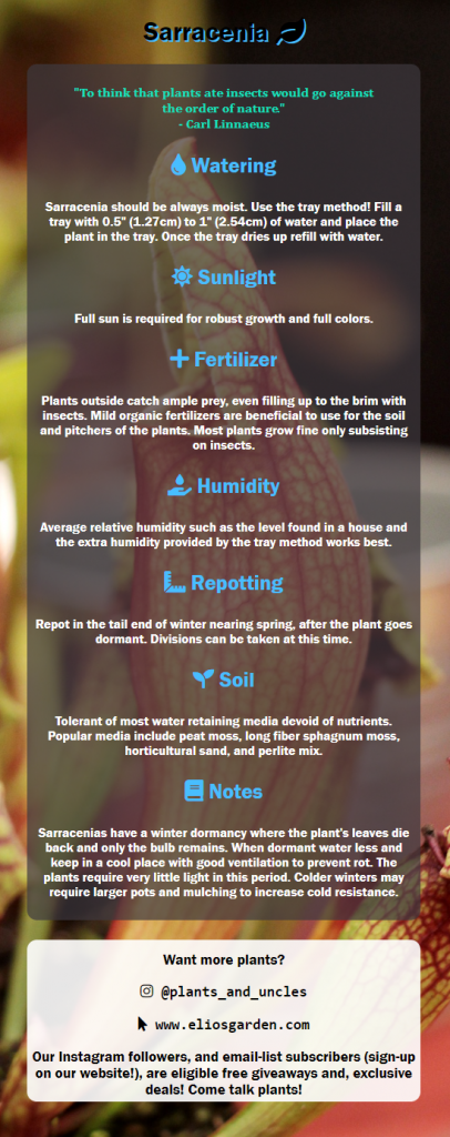 Elio's Garden Sarracenia Care Instruction Basics